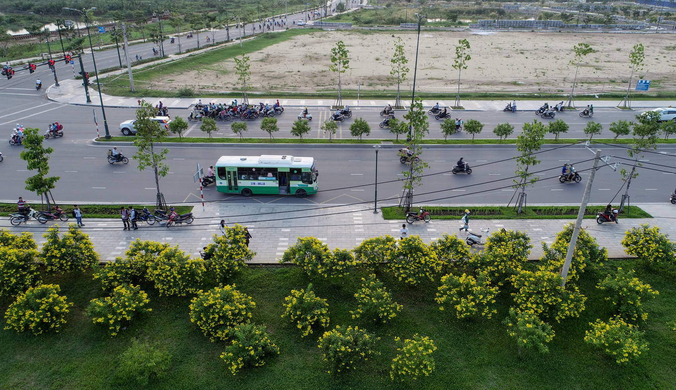 Khu vườn hoa hoàng yến hơn 1.000 m2 dọc đường Nguyễn Cơ Thạch (quận 2, TP HCM) đang vào mùa nở rộ, tạo nên những thảm hoa vàng rực.