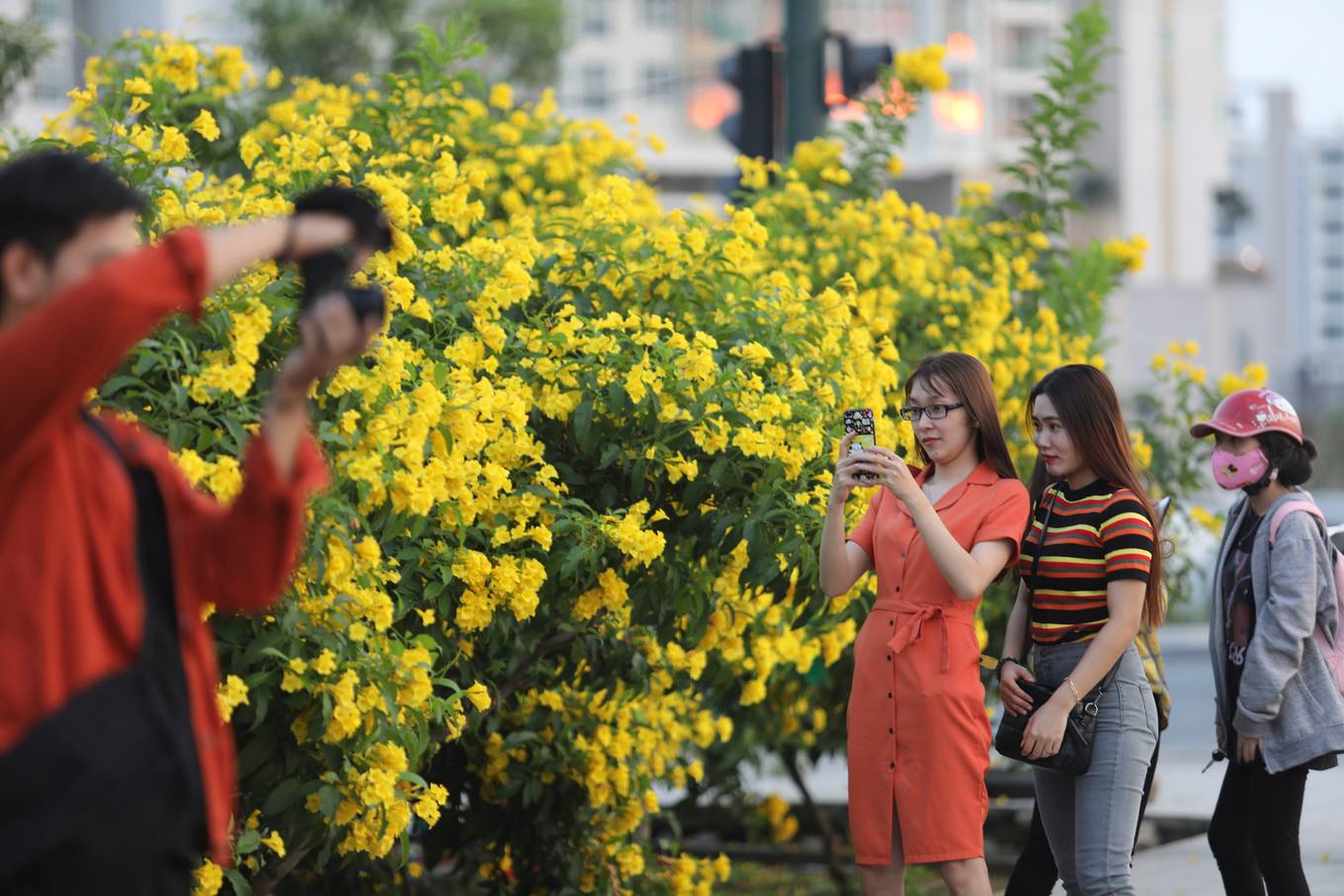 Từ 16h hàng ngày, nhiều người, đặc biệt là các bạn trẻ, tìm đến để chiêm ngưỡng và chụp ảnh cùng hoa.