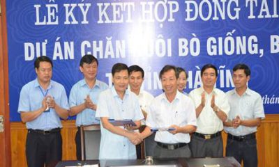 Lãnh đạo BIDV Hà Tĩnh và Công ty CP Chăn nuôi Bình Hà ký kết hợp đồng tín dụng