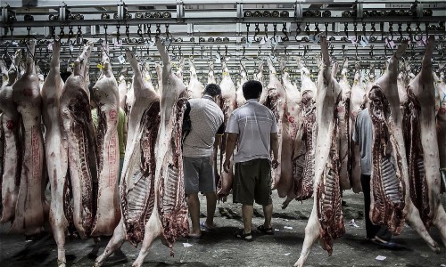 Bên trong một cơ sở mổ thịt lợn tại Trung Quốc. Ảnh: Bloomberg
