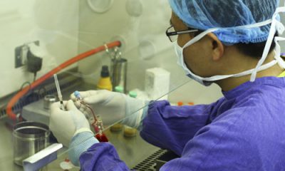 Cán bộ kỹ thuật nghiên cứu tế bào gốc tái tạo hệ thống tạo máu của bệnh nhân. Ảnh: T. Hằng.
