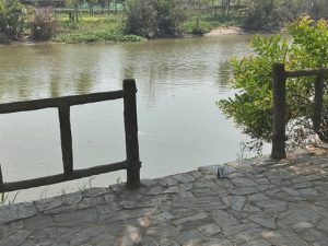 Vị trí bờ sông nơi chị N.A gặp nạn. Ảnh: Tổ Quốc