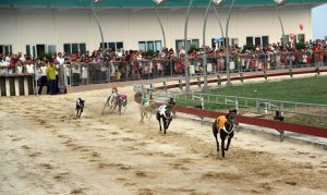 Tỉnh Hà Tĩnh xin gỡ khó cho dự án "đua chó đặt cược"