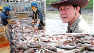 Lỗ lũy kế tại ngày 30.09.2018 của HVG là 423 tỷ đồng