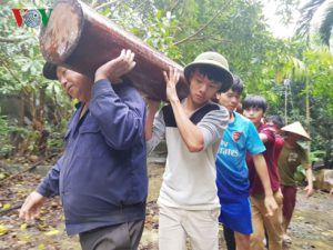 Trụ gỗ được đưa đi tập kết tại một địa điểm bên trong khu biệt thự