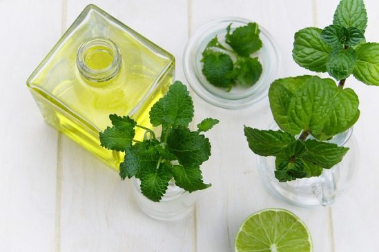 Tinh dầu bạc hà được dùng như một loại thuốc thông mũi, giảm đau họng. (Ảnh: pixabay)
