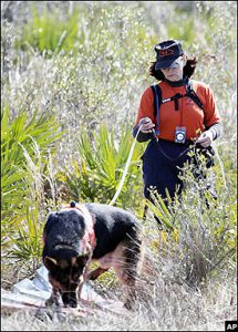 Hàng trăm người dân và cả chó nghiệp vụ đã được huy động để tìm kiếm cô bé Jessica.