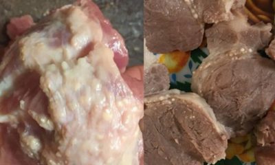 Phụ huynh Trường mầm non Thanh Khương cho rằng miếng thịt lợn nổi nhiều hạch trắng này đã được sử dụng chế biến thức ăn cho trẻ.