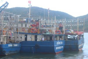 Nhiều tàu cá ở Bình Định nằm bờ nhưng các đối tượng vẫn làm giả hồ sơ để nhận tiền hỗ trợ nhiên liệu từ ngân sách