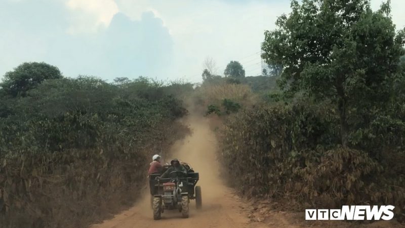 Người dân dùng xe công nông chở than bùn ra ngoài đường chính.