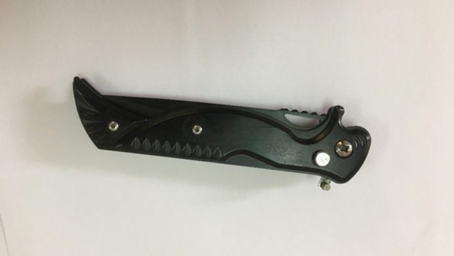 Con dao L. mang đến trường và đâm bạn bị thương