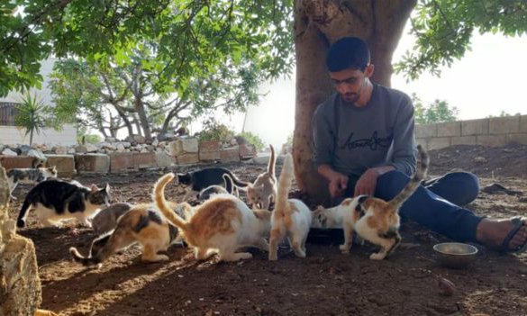 Salah Jaar và những con mèo tại thị trấn Kafr Nabl, tỉnh Idlib, Syria. Ảnh: BBC.
