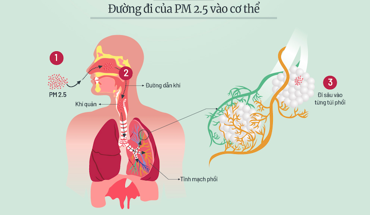 Những đợt ô nhiễm bụi mịn ở Hà Nội trong năm 2019 - 2