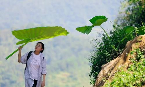 Dự án nhân ái Đắp đường xây ước mơ Lương Thùy Linh