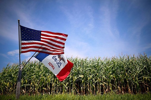 Một đồng bắp tại Grand Mound, Iowa. Ảnh: Reuters