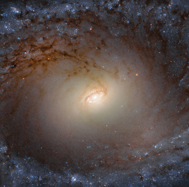 Thiên hà IC 2051 chụp bởi kính viễn vọng Hubble. Ảnh: NASA/ESA.