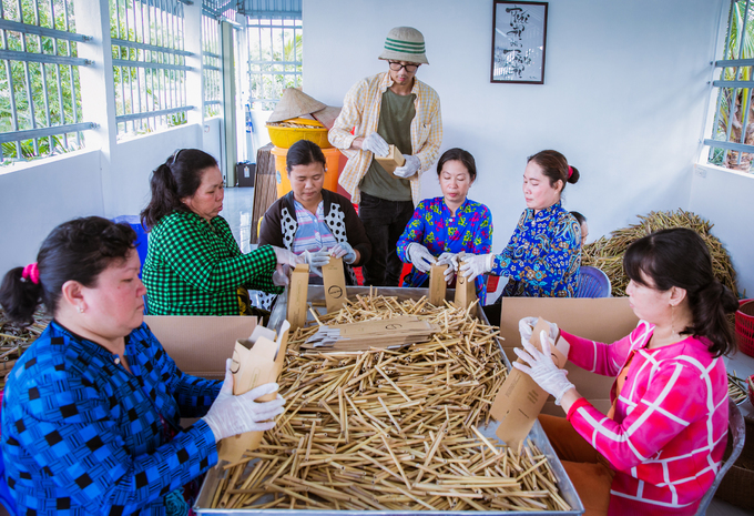 Ống hút từ cỏ sậy