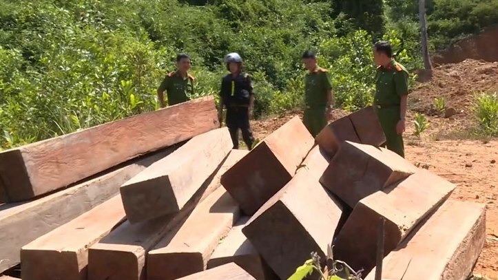 Số gỗ bị nhà chức trách thu giữ hồi tháng 8 năm ngoái. Ảnh: Ngọc Oanh.