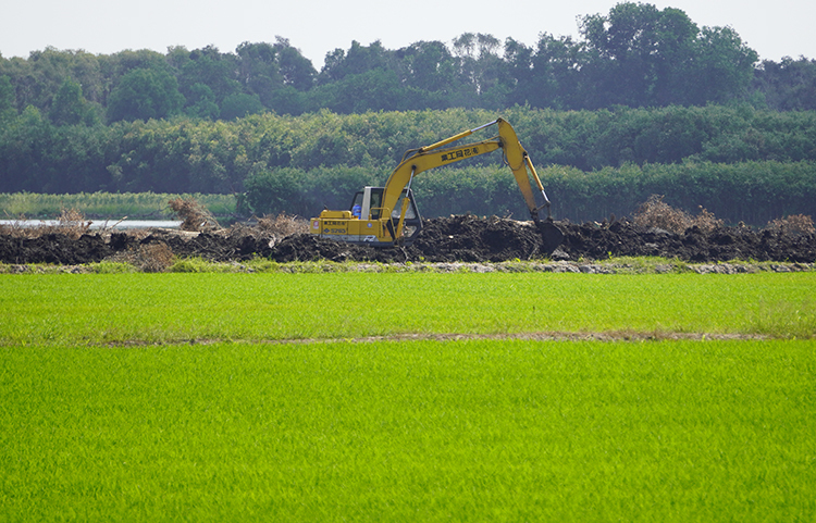 Máy xúc đang đào ao, được cho là để nuôi tôm ở sát khu vực trồng lúa xã Tân Lập, Mộc Hóa. Ảnh: Hoàng Nam