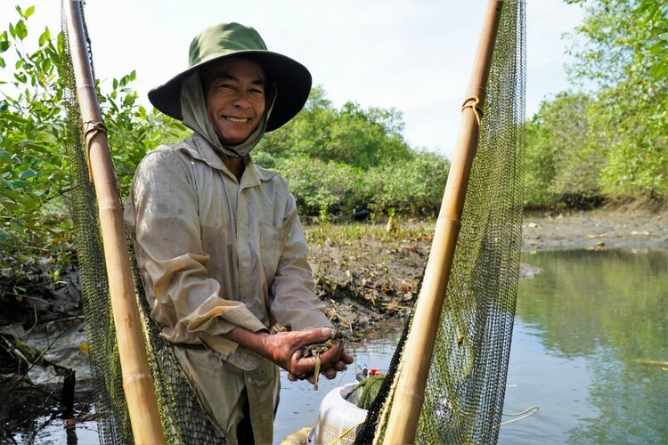 Ông Thái Văn Ba, người dân phường Phú Thủy làm nghề đẩy lưới bắt tôm trong rừng ngập mặn. Ảnh: Việt Quốc