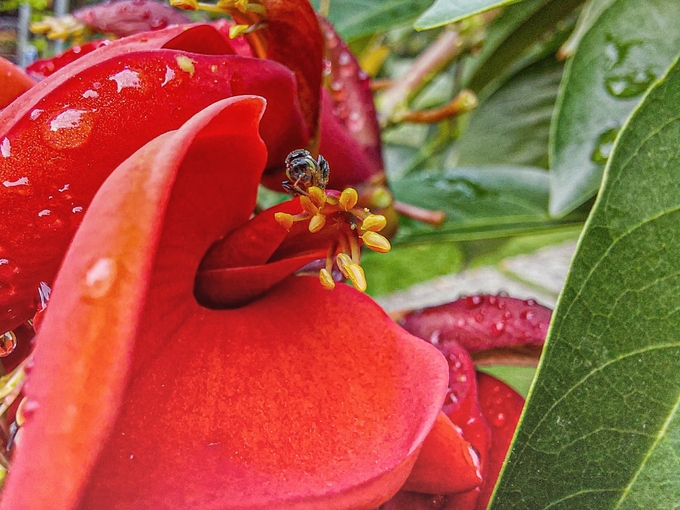 Trải nghiệm camera trên Galaxy A71