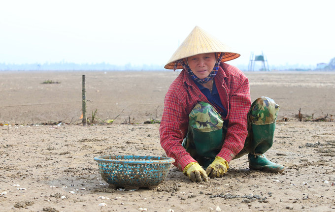 Ngao chết trắng đầm
