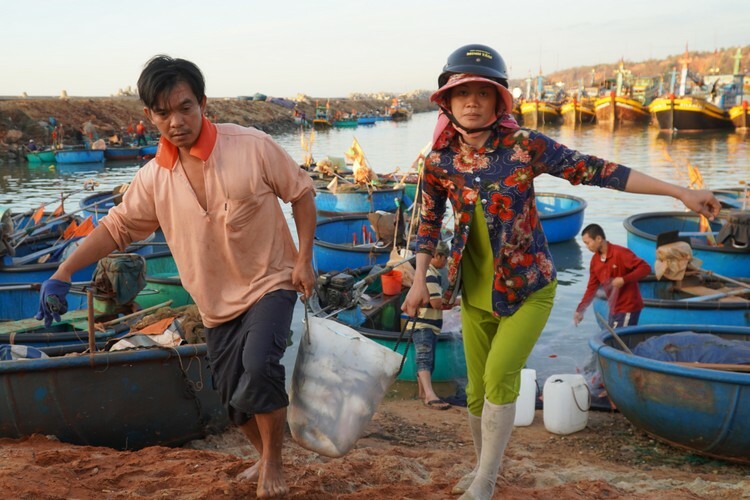 Cá đầy thùng, ngư dân khiêng lên bờ bán ngay cho thương lái để kịp buổi chợ. Ảnh: Việt Quốc