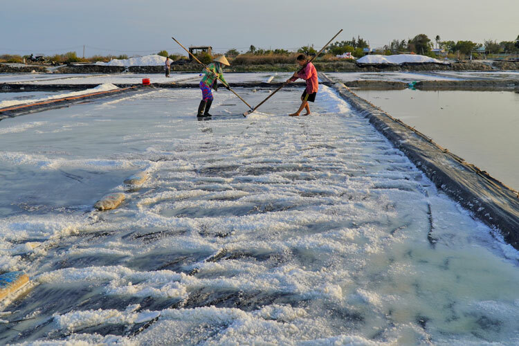 Diêm dân thu hoạch muối trên cánh đồng Cửa Cạn, thôn Thanh Phong, xã Tân Thuận. Ảnh: Việt Quốc.