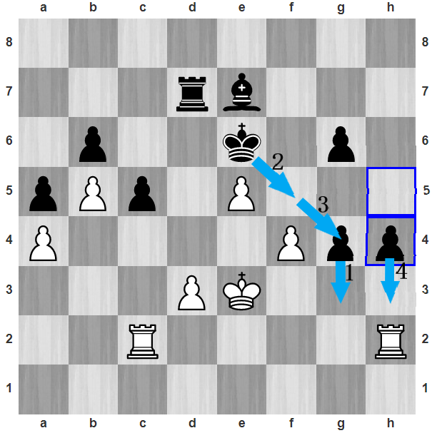 Sau 45...h4, Đinh xin thua. Trắng khó cản Đen thực hiện chuỗi nước đi như g3 - Kf5 - Kg4 - h3. Đen thoải mái đưa vua lên hỗ trợ hai tốt phong cấp, khi Trắng cần bảo vệ các tốt yếu ở a4, d3 hay f4.