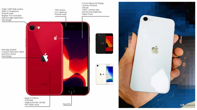 Mặt lưng của iPhone 9 giống iPhone 8, chỉ khác ở vị trí logo Apple. Ảnh: GizChina.