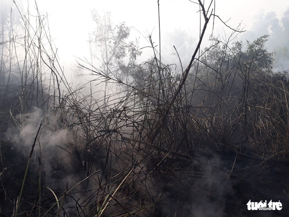 Cháy lớn tại bãi cỏ và vườn tràm khói mù mịt bao trùm cả khu vực - Ảnh 3.