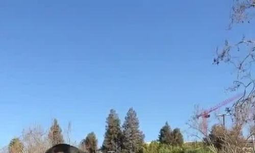 Người Mỹ xếp hàng mua đồ tích trữ phòng Covid-19