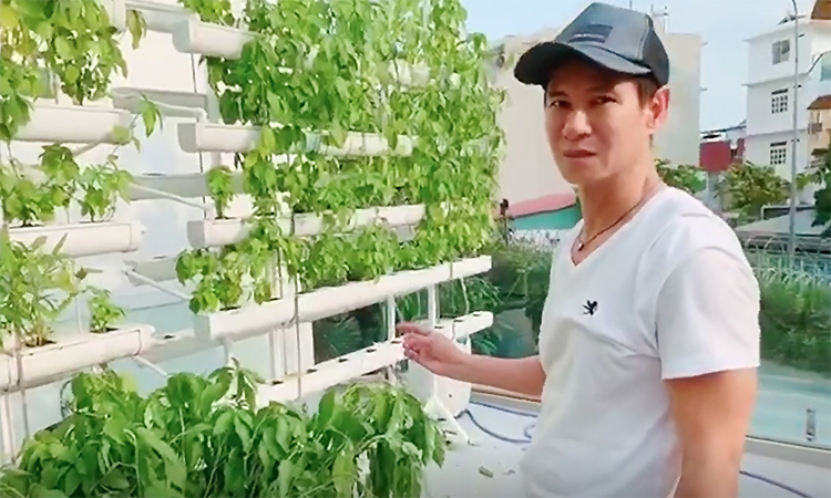 Vườn rau sạch của gia đình Lý Hải