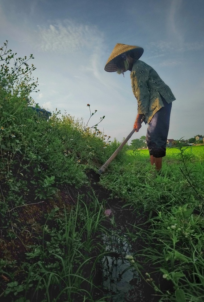 Bà Nguyễn Thị Điểu, 84 tuổi, nạo vét mương nhỏ để dẫn nước tưới ruộng ở xã Tây Xuân, huyện Tây Sơn, Bình Định. Ảnh: Phạm Linh.