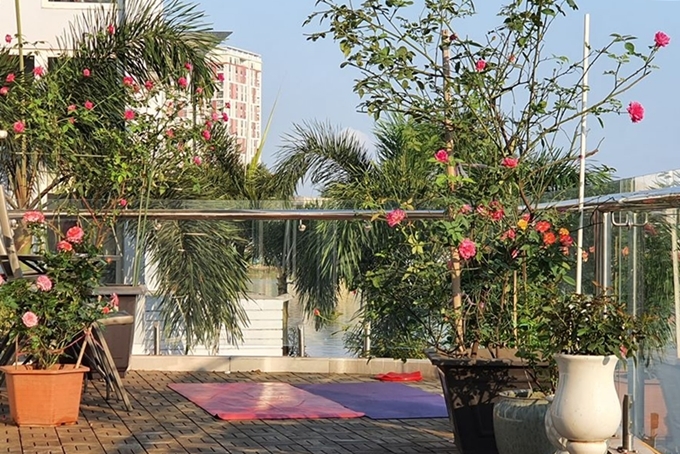Cựu người mẫu tận dụng mảnh vườn trống cạnh ban công đễ tập yoga mỗi sáng.