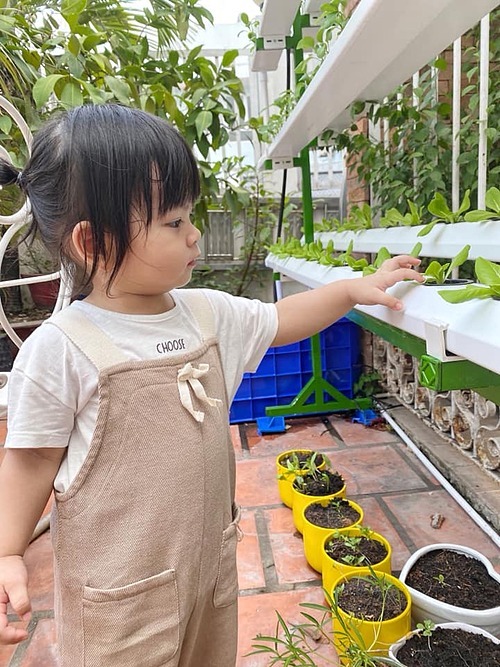 Annie rất thích ra vườn, giúp bố chăm sóc vườn rau thủy canh. Thỉnh thoảng, cả nhà cùng nhau thu hoạch rau để bé có những kỉ niệm đáng yêu nhất.