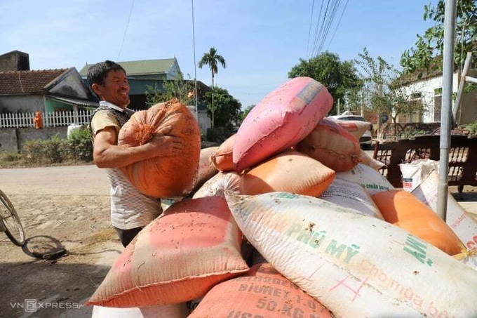 Nước rút, người dân xã Cẩm Duệ, huyện Cẩm Xuyên (Hà Tĩnh) khiêng từng bì lúa ướt ra đường để đổ ra phơi. Ảnh: Đức Hùng