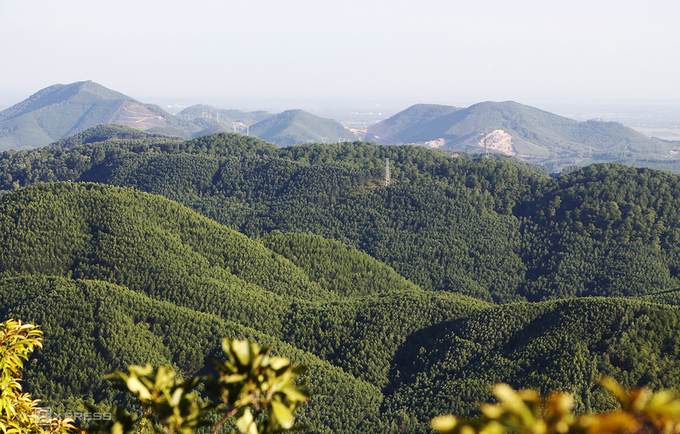 Những cánh rừng keo trồng theo phương gỗ lớn phủ xanh đồi núi tỉnh Thừa Thiên Huế. Ảnh: Võ Thạnh.
