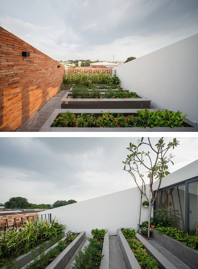 Vườn rau trên mái được thiết kế dốc, giúp công trình mát mẻ và phần bê tông trên mái không bị nứt, thấm. Ảnh: Quang Trần.