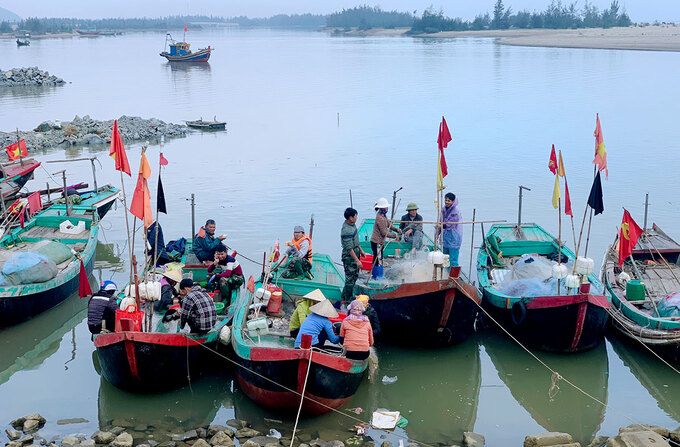 Tàu thuyền đánh bắt cá cháo cập bờ ở xã Thịnh Lộc, huyện Lộc Hà hồi đầu tháng 1. Ảnh: Đức Hùng