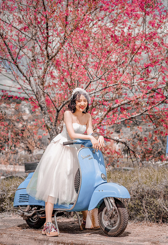 Vẻ đẹp rực rỡ của những cây mai anh đào khiến Bảo Châu mê mẩn. Loài hoa này có nhiều ở làng Long Lanh, huyện Lạc Dương, cách thành phố Đà Lạt 50 km. Để tới đây, Bảo Châu phải đi đường đèo ngoằn ngoèo, khúc khuỷu. Cô bé cho biết mình đã bị say xe, nôn rất nhiều nhưng thấy như được bù đắp khi có những bức ảnh đẹp tại đây.