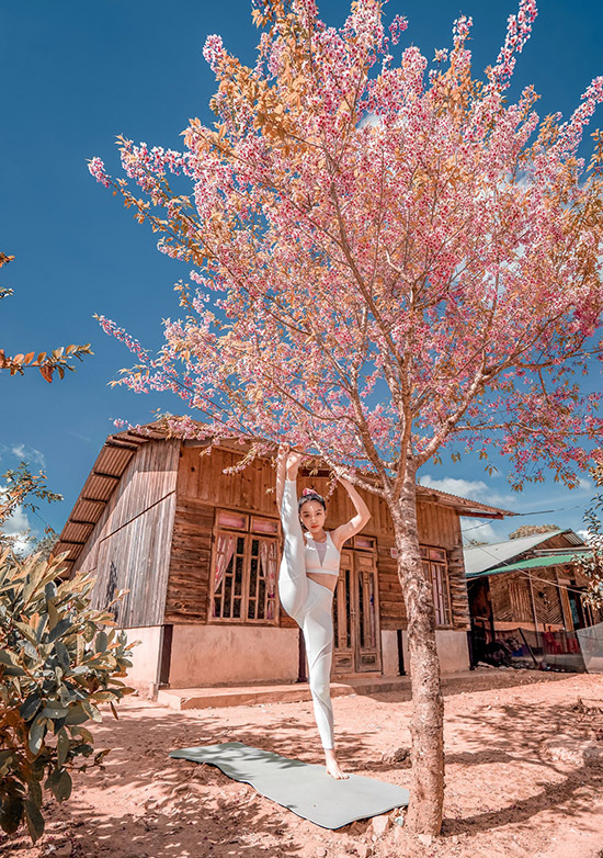 Từ năm 13 tuổi Bảo Châu theo học yoga với các chuyên gia Ấn Độ. Trong 5 năm theo đuổi bộ môn này, cô từng nhiều lần bị chấn thương nhưng vẫn kiên trì tập luyện. Hiện Bảo Châu có thể thực hiện được nhiều tư thế khó, khiến mọi người kinh ngạc.