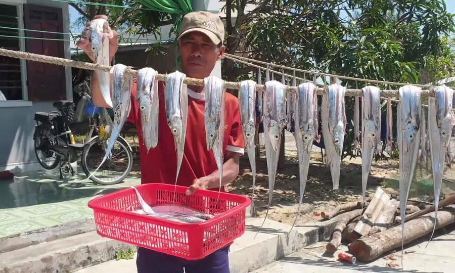 Video: Ngư dân Quảng Nam trúng cá hố đem phơi khô